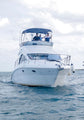 Sea Ray 40'